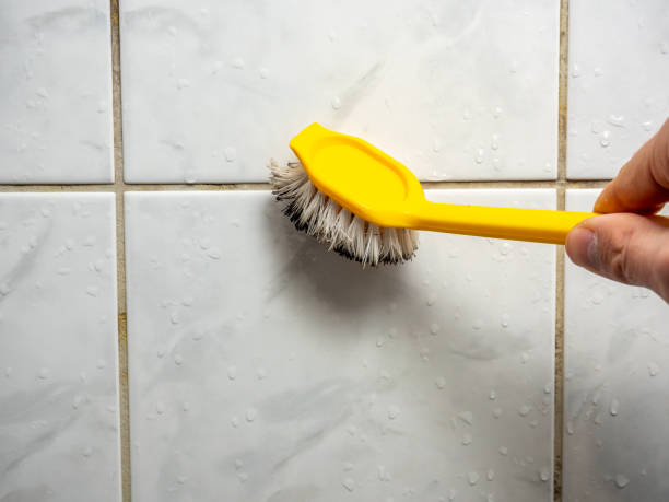 Best Mold Testing  in Wellington, CO