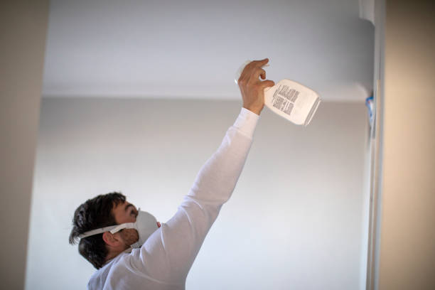 Best Mold Remediation Services  in Wellington, CO