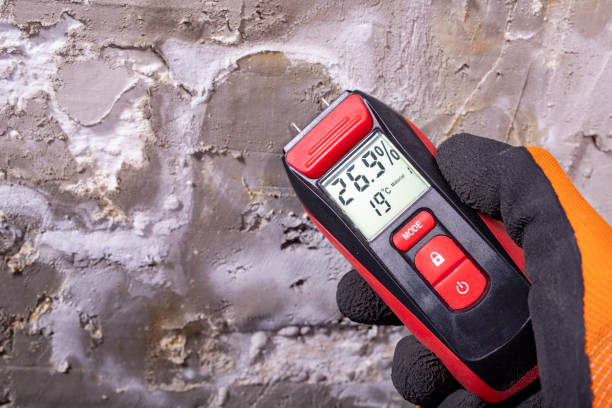 Best Crawl Space Mold Removal  in Wellington, CO