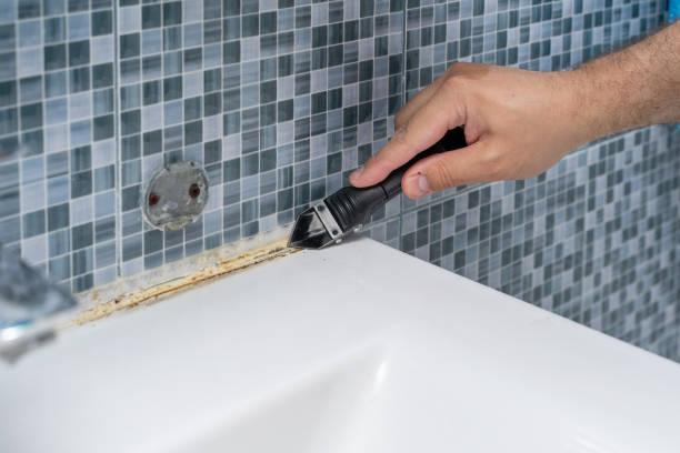 Best Home Mold Removal  in Wellington, CO